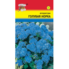 Агератум Голубая Норка