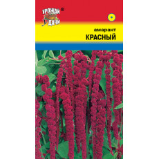 Амарант хвост. Красный