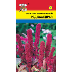 Амарант мет. Ред Кафедрал