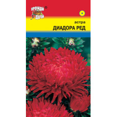 Астра ДИАДОРА РЕД пион.