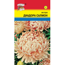 Астра ДИАДОРА САЛМОН пион.