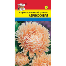 Астра королевс.размер Абрикосовая