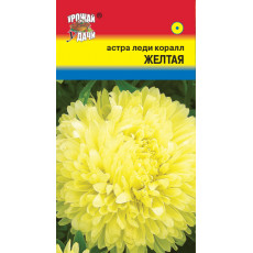 Астра леди коралл Жёлтая