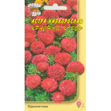 Астра низк. Красный ковёр