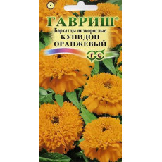 Бархатцы пр. Купидон оранжевый (20 см)
