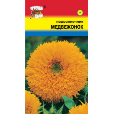 Подсолнечник Медвежонок