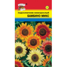 Подсолнечник низк.Бамбино микс