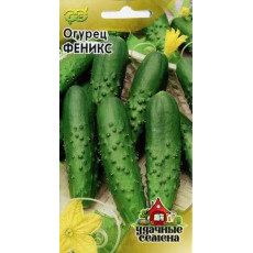 Огурец Феникс 640 Огурец Феникс 640