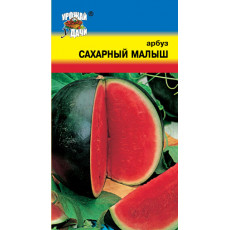 Арбуз Сахарный Малыш Арбуз Сахарный Малыш