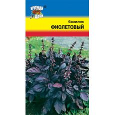 Базилик Фиолетовый 