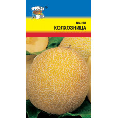 Дыня Колхозница Дыня Колхозница