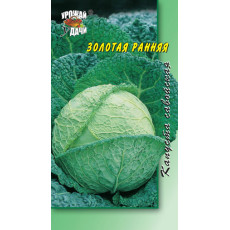 Капуста савойс. Золотая ранняя Капуста савойс. Золотая ранняя