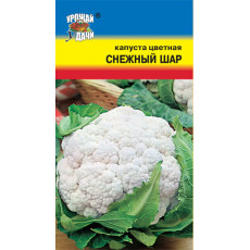 Капуста цв. Снежный шар Капуста цв. Снежный шар