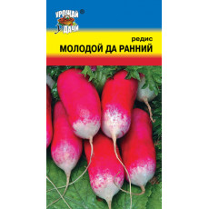 Редис МОЛОДОЙ-ДА-РАННИЙ Редис МОЛОДОЙ-ДА-РАННИЙ