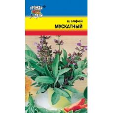 Шалфей Мускатный Вознесенский 
