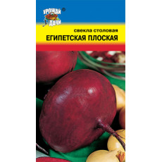 Свекла Египетская плоская Свекла Египетская плоская
