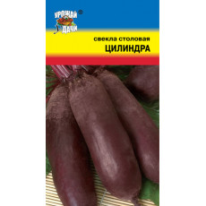 Свекла Цилиндра Свекла Цилиндра