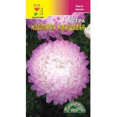 Астра Клеопатра Кварцевая 