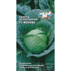 Капуста б/к Женева F1 Капуста б/к Женева F1