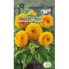 Подсолнечник Мишка Тэдди низкоросл.
