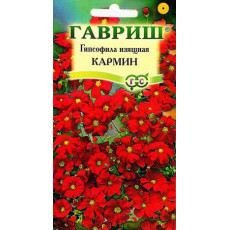 Гипсофила изящная, Кармин красная