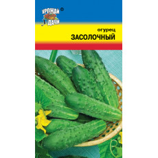 Огурец Засолочный Огурец Засолочный