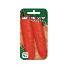 Морковь Сентябрина Морковь Сентябрина