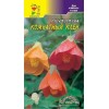 Абутилон Комнатный Клен СМЕСЬ 