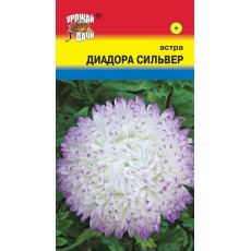 Астра ДИАДОРА СИЛЬВЕР пион.