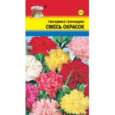 Гвоздика Гренадин Смесь окрасок