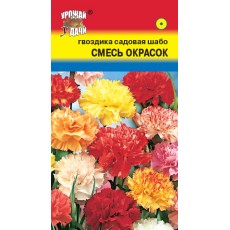 Гвоздика Шабо Садовая Смесь