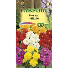 Георгина Смесь Фигаро