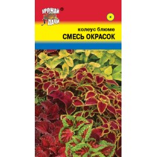 Колеус Оригинальная смесь