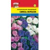 Колокольчик Махровый Смесь