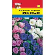 Колокольчик Махровый Смесь