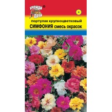 Портулак кр. СИМФОНИЯ Смесь окрасок