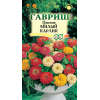 Цинния Смесь Милый карлик Гав
