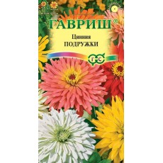 Цинния Смесь Подружки кактус. низкор 