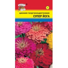 Цинния Смесь Супер Йога георг.