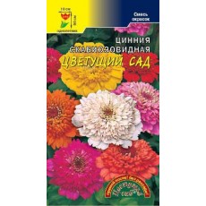 Цинния Смесь Цветущий Сад 