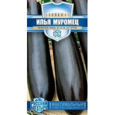 Баклажан Илья Муромец Баклажан Илья Муромец