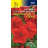 Петуния суперкаскад.Ниагара F1 Смесь